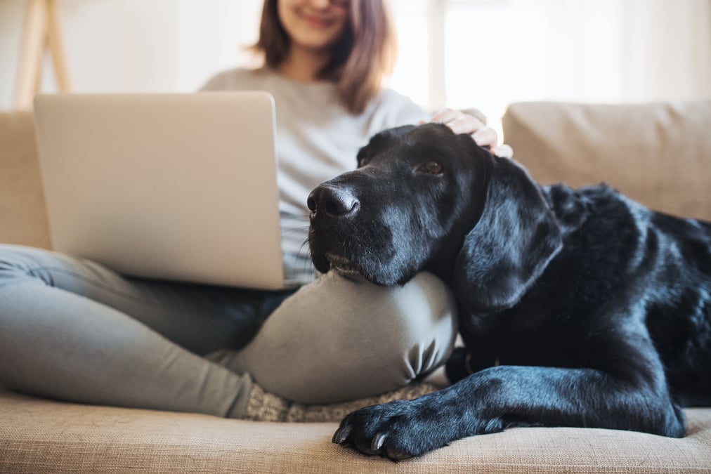 healthcare agency marketers and pr professionals with their pets 