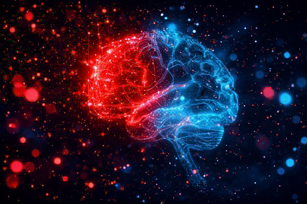 Brain human psychology life sciences 