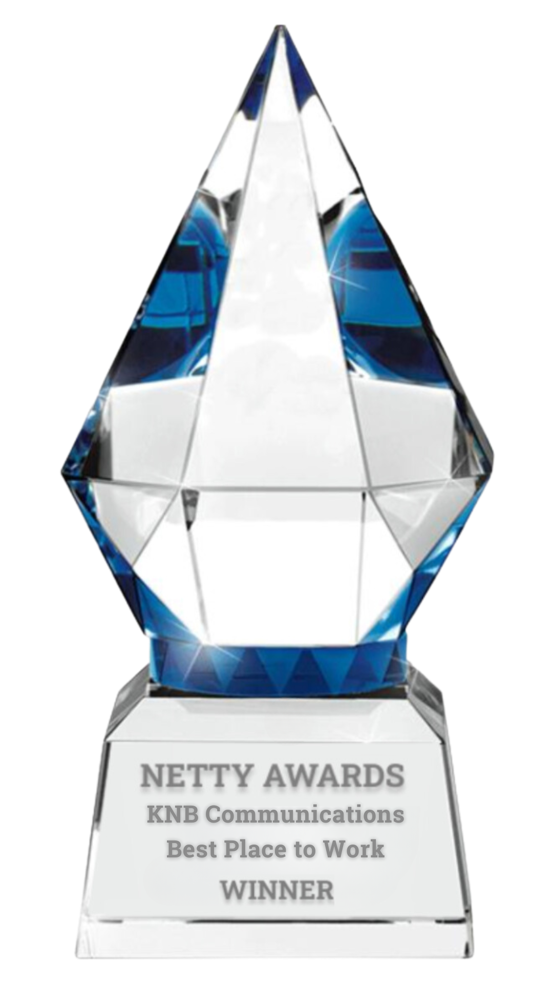 Netty Award - Best Place to Work