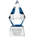 The Netty Award - Biotech Agency of the Year-1