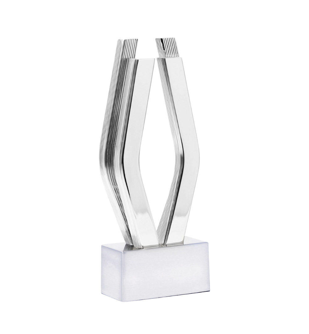 Viddy Awards trophy-1