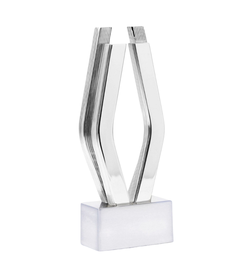 Viddy Awards trophy-2