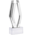 Viddy Awards trophy-3