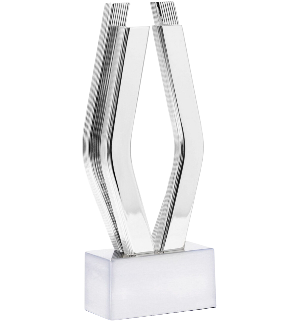 Viddy Awards trophy