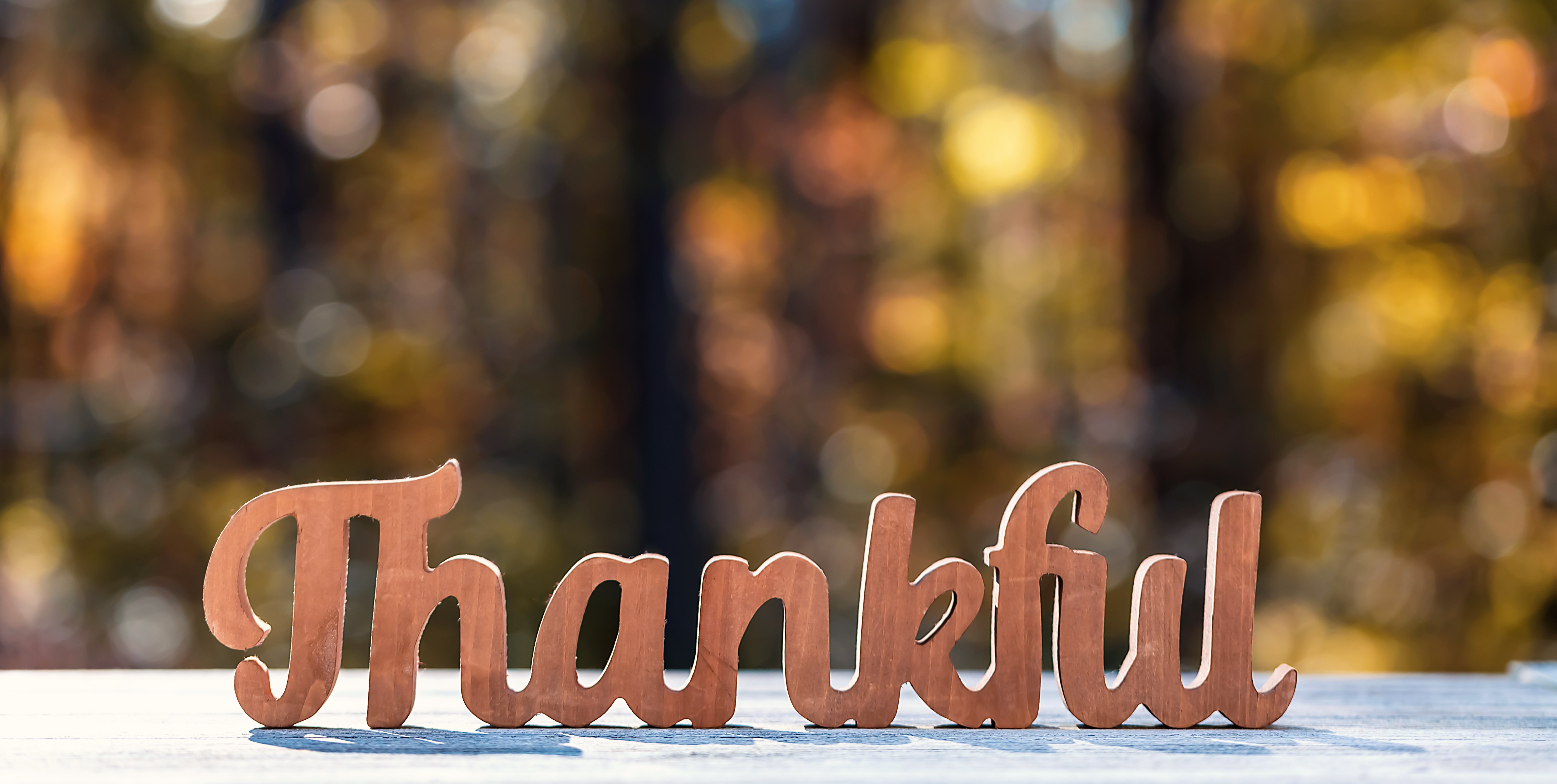 healthcare communications and marketing professionals share what they are grateful for